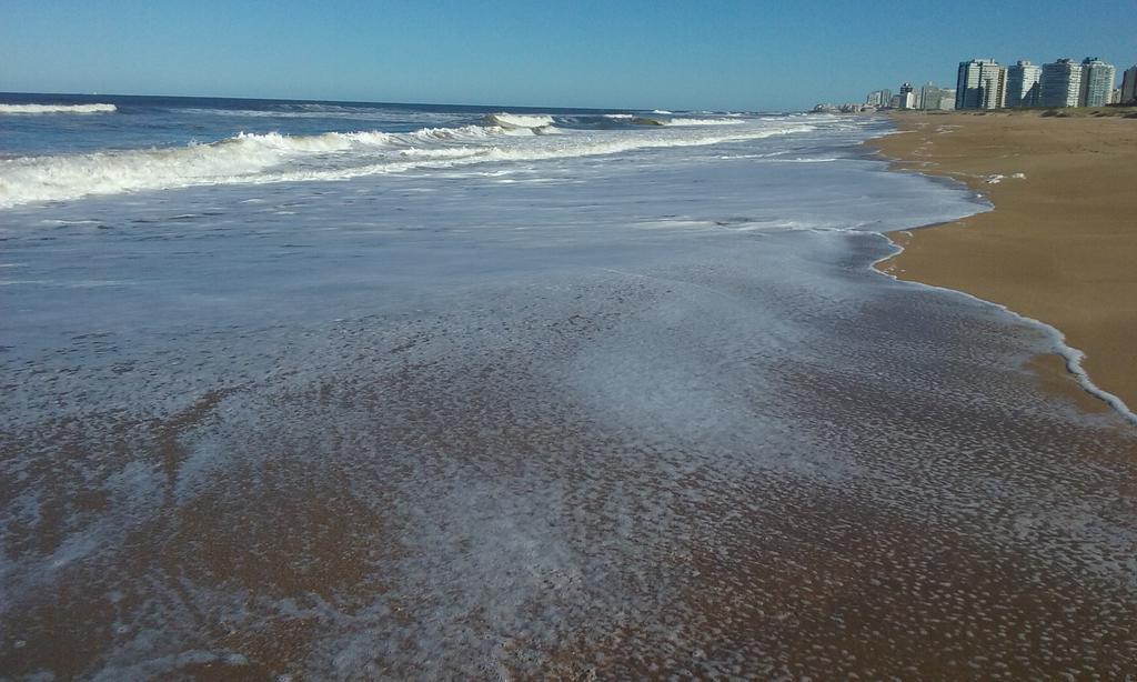 Spiaggia Brava Punta Punta del Este Kültér fotó